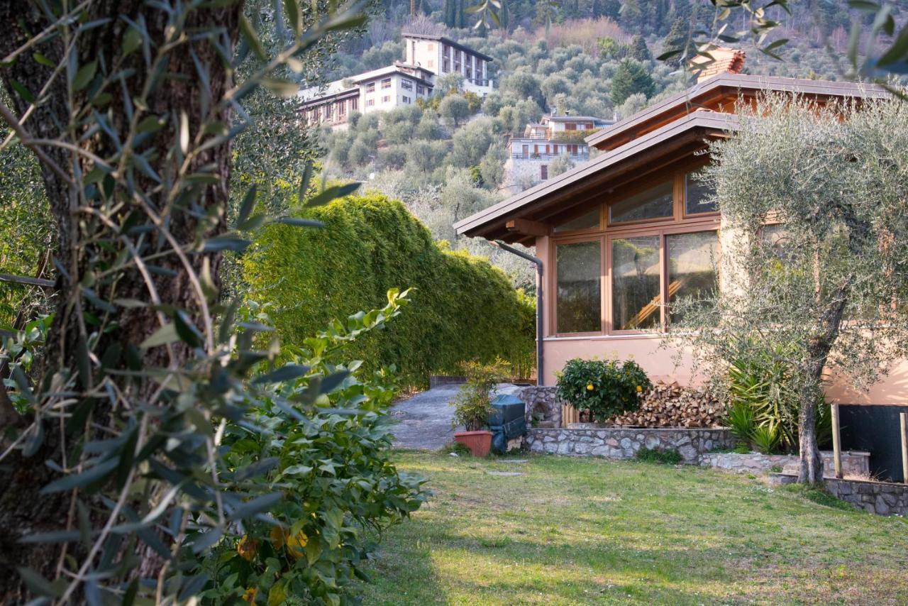 Guesthouse "Villa Tamas" 利莫内-苏尔加达 外观 照片